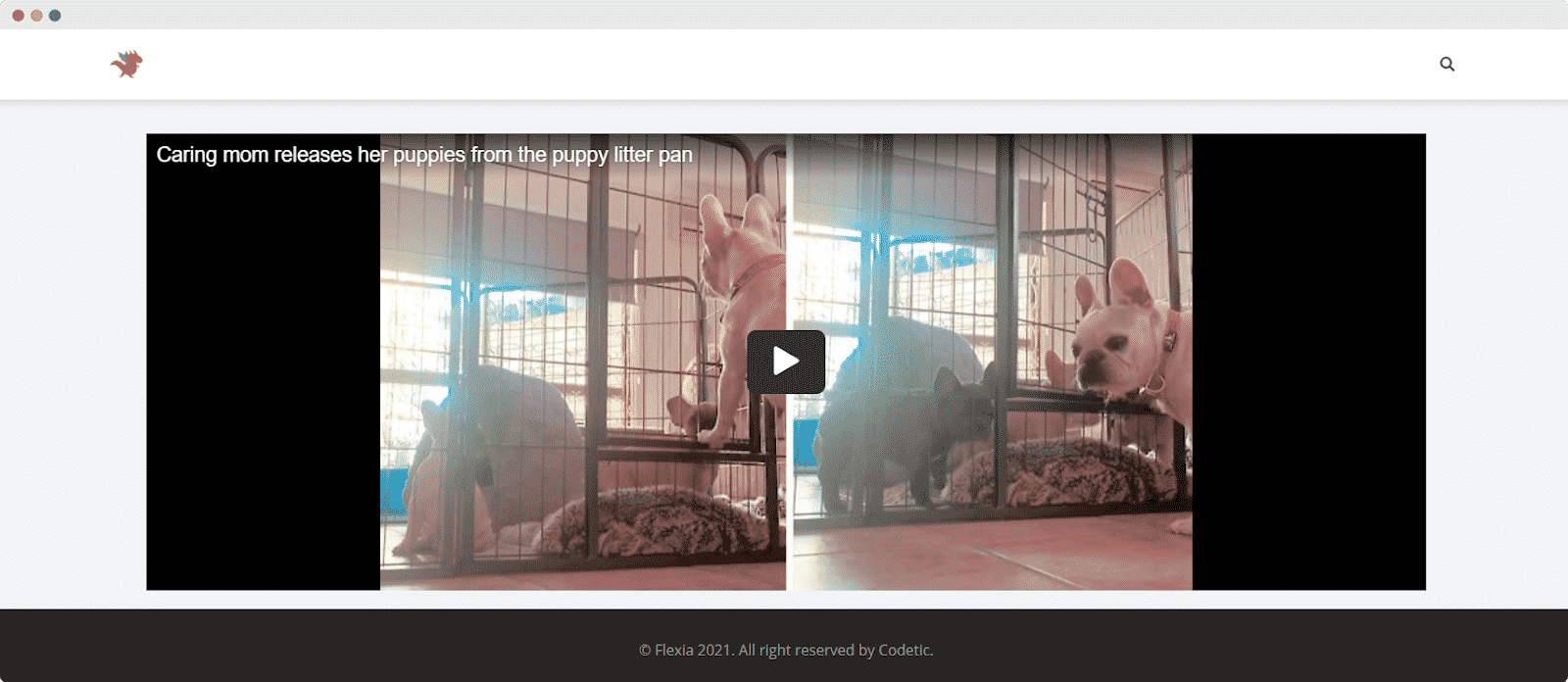How To Embed Rumble Video In WordPress With EmbedPress 7 embed rumble