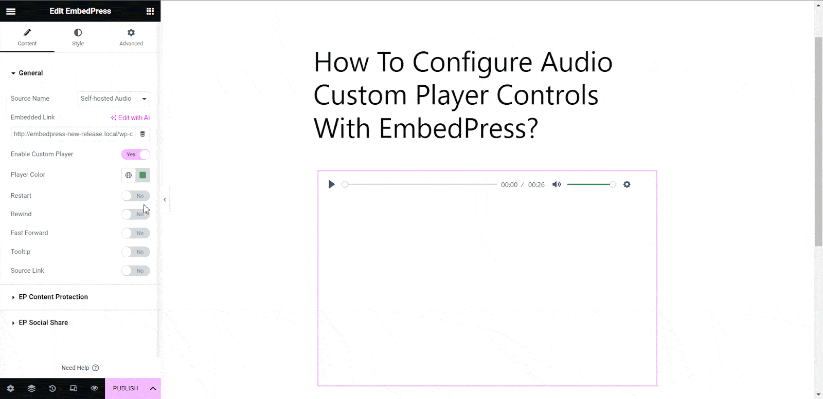 How To Configure Audio Custom Player Controls With EmbedPress? 9 Audio Custom Player
